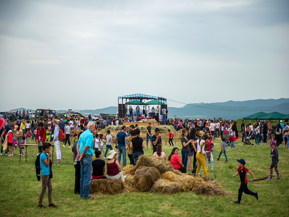 Ոչխարի Խուզման Փառատոն 2019